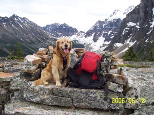 Buddy on Tower of Babel