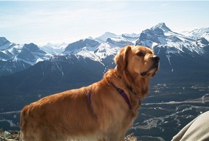 Buddy Grotto June 2001