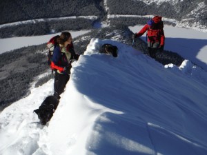 Kona and Layla on Baldy