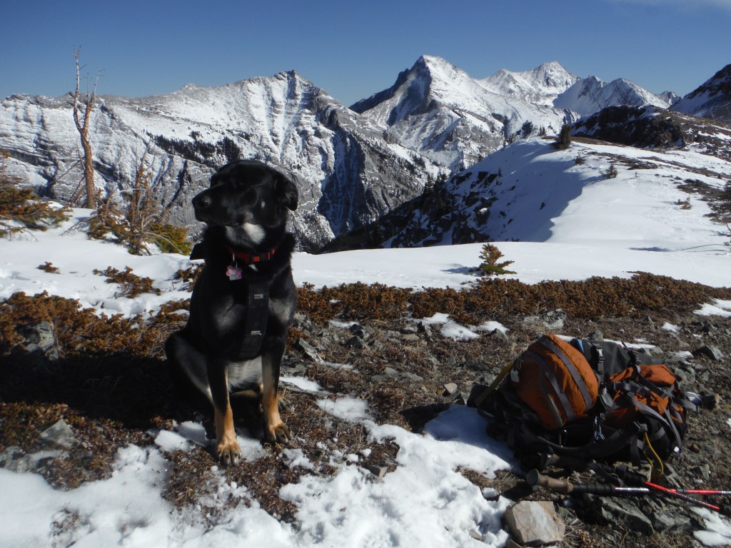 Kona on Pigeon Mountain