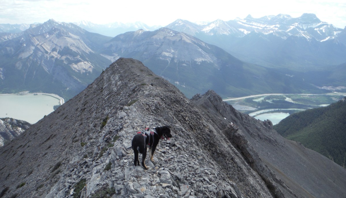 Gap Peak (1200 m&nbsp;gain)