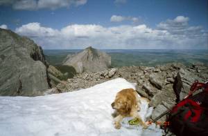 Buddy on Goat Ridge past Loder
