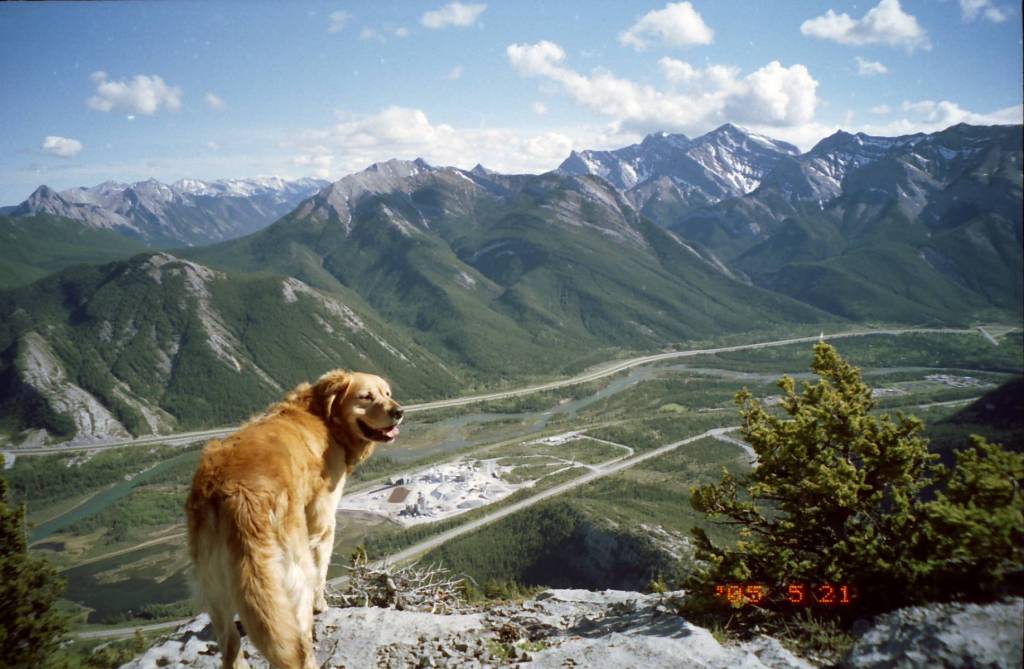 Buddy on Door Jamb Mountain
