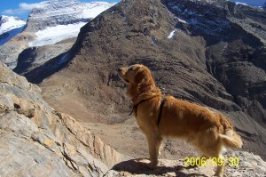 Buddy on Kiwetinok Pk 1525 m Sept 2006