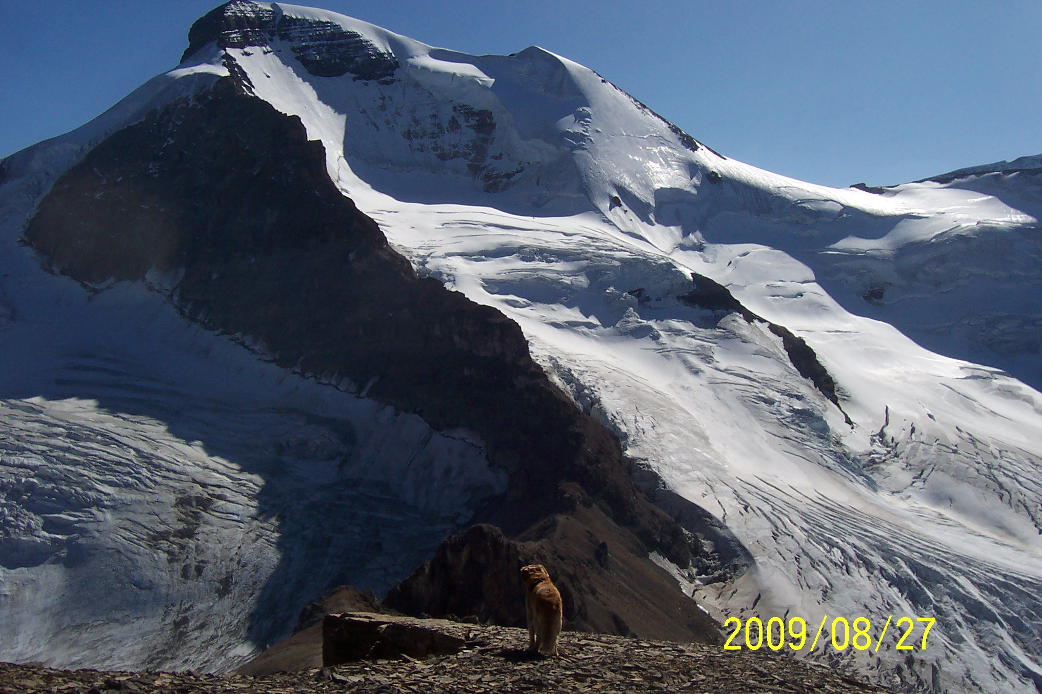 Boundary Peak & Mt Athabasca Aug 09 075