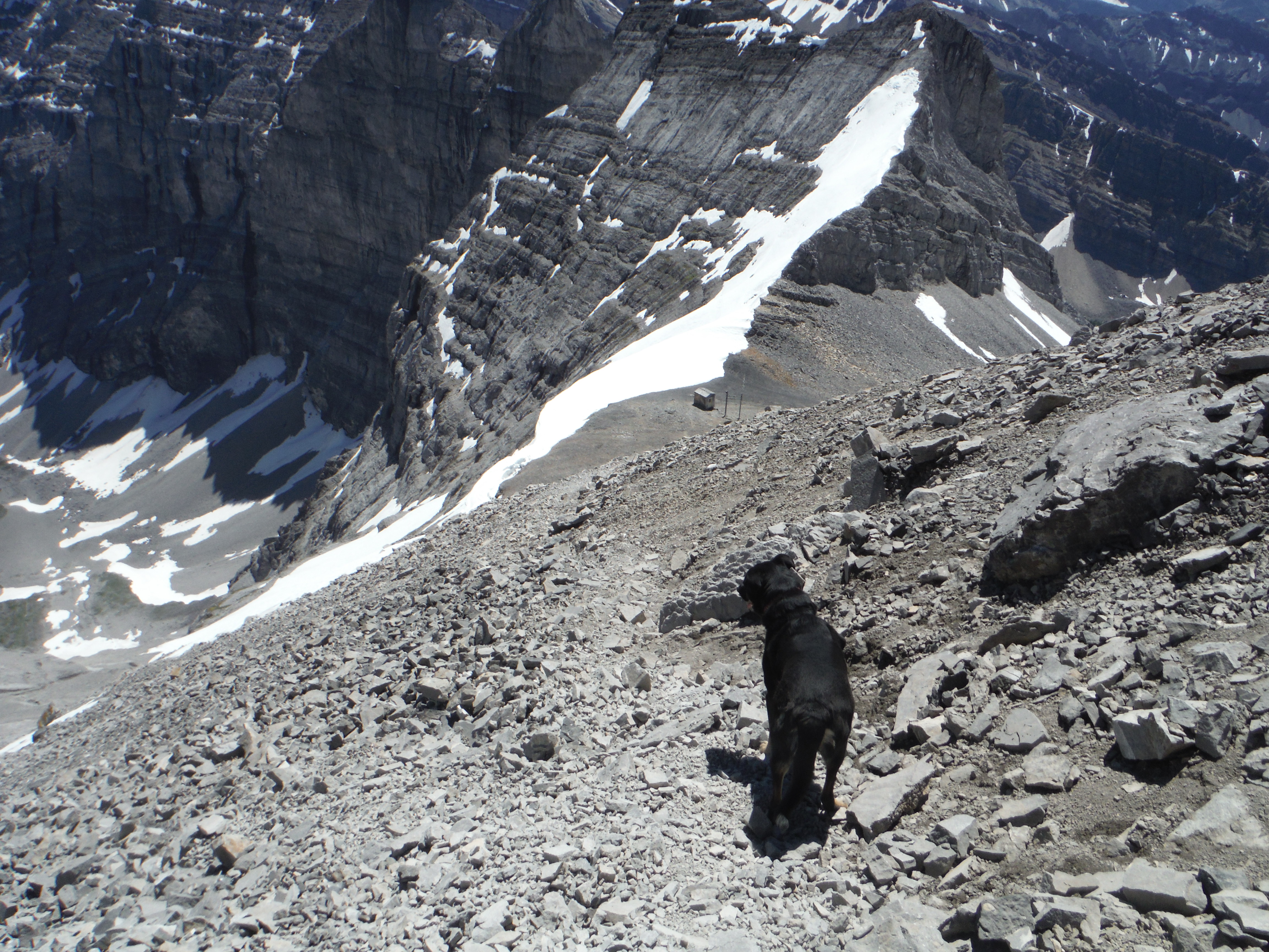 Kona descending Mt. Sparrowhawk