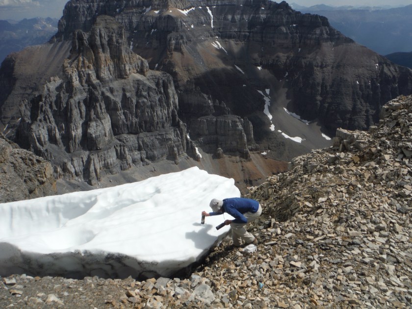 Beer cooler on Eiffel Peak