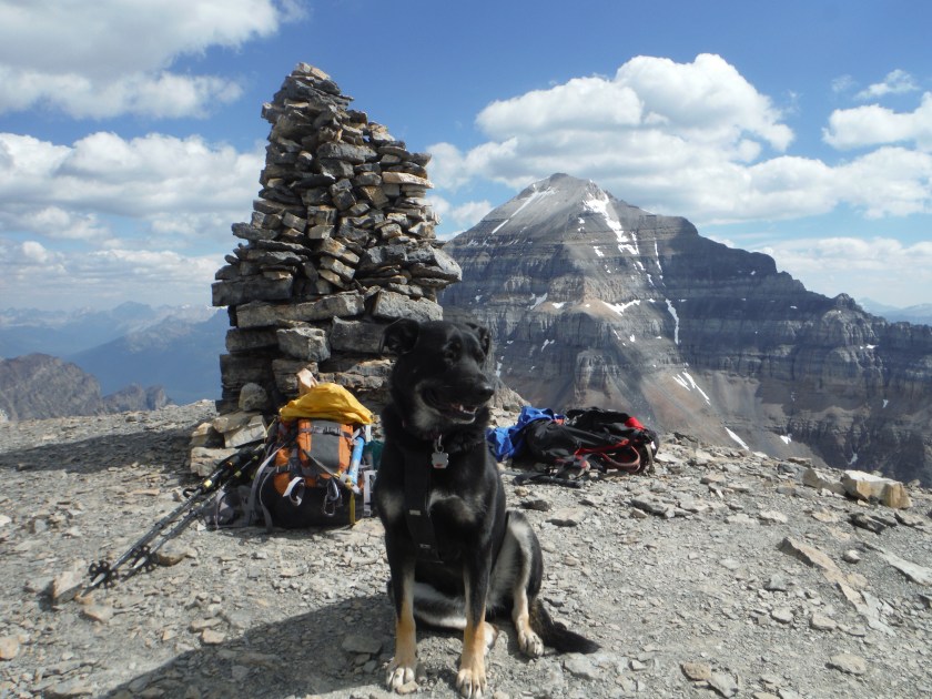 Kona by summit cairn on Eiffel Peak