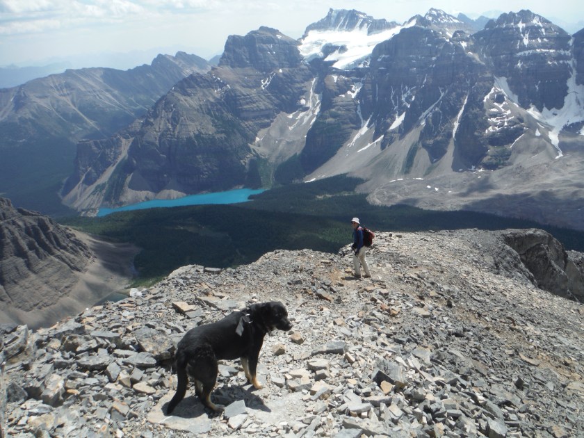 Kona on way down Eiffel Peak