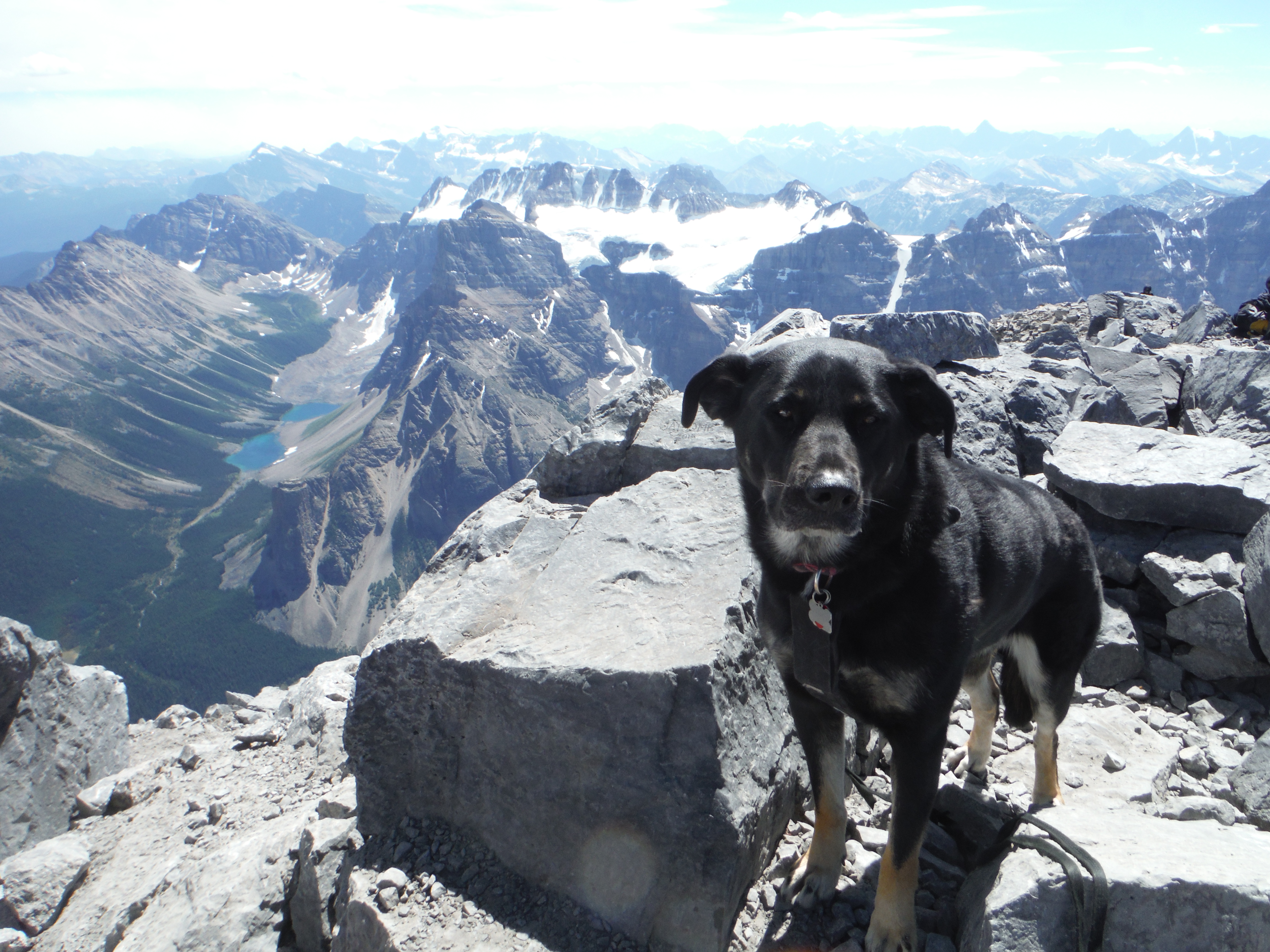 Kona on Mt. Temple - Consolation Valley behind