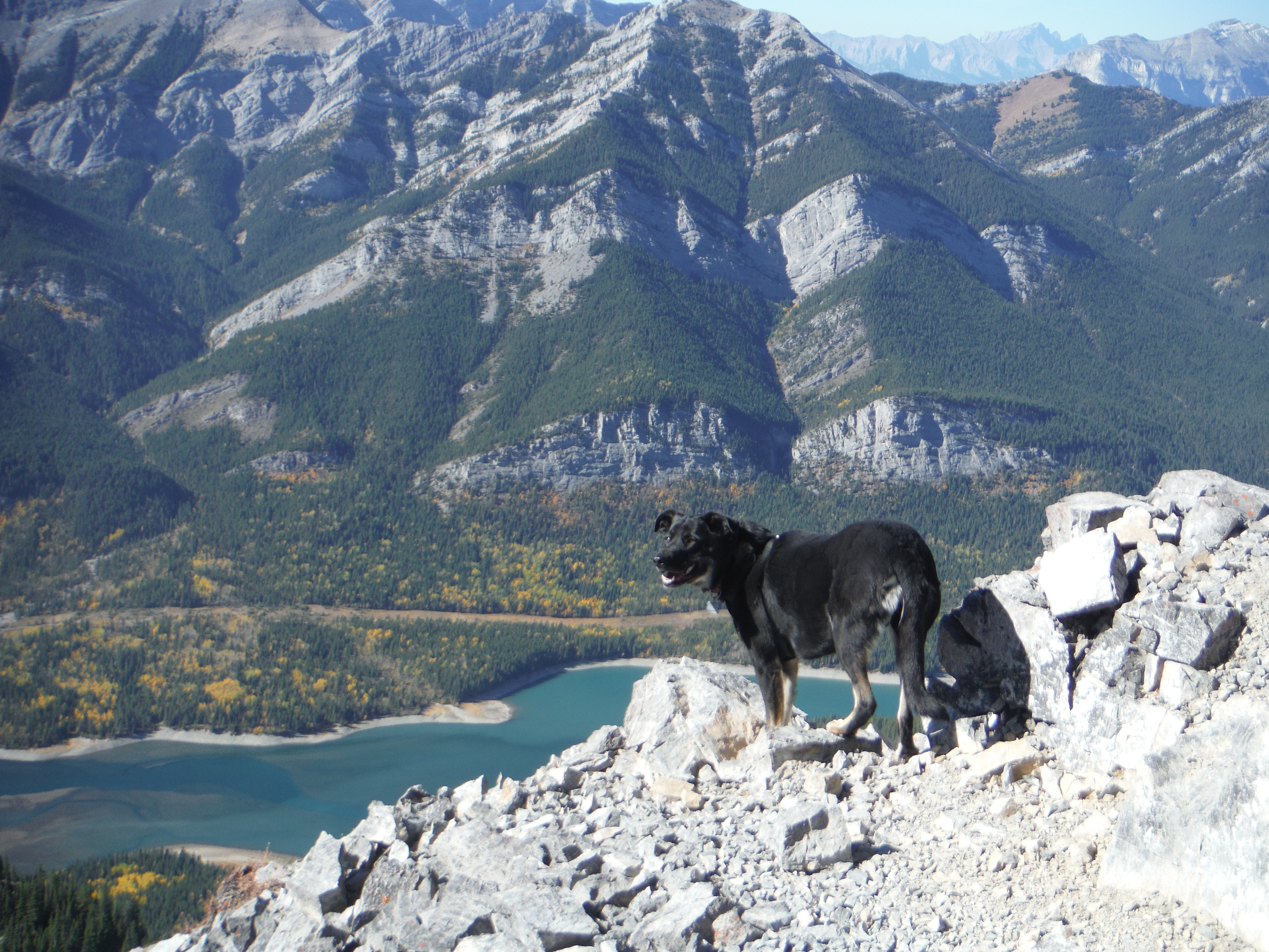 Kona Baldy ridge Oct 2017