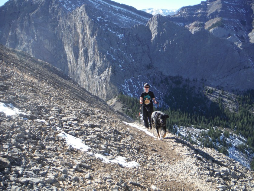 Kona Yam Goat Oct 2017