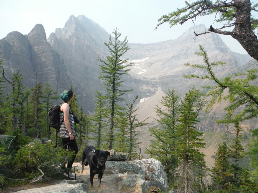 Kona Beehive Niblock Aug 2018