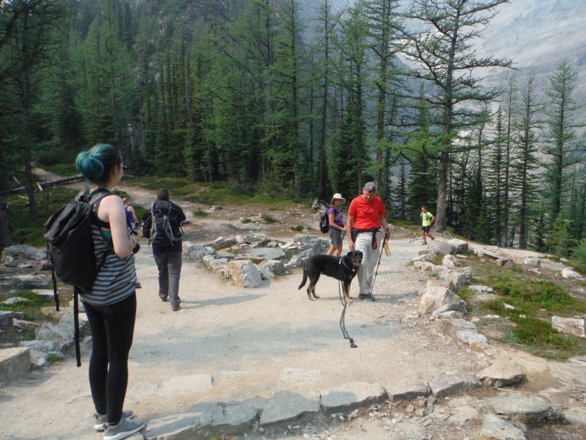 Kona The Beehive Aug 2018