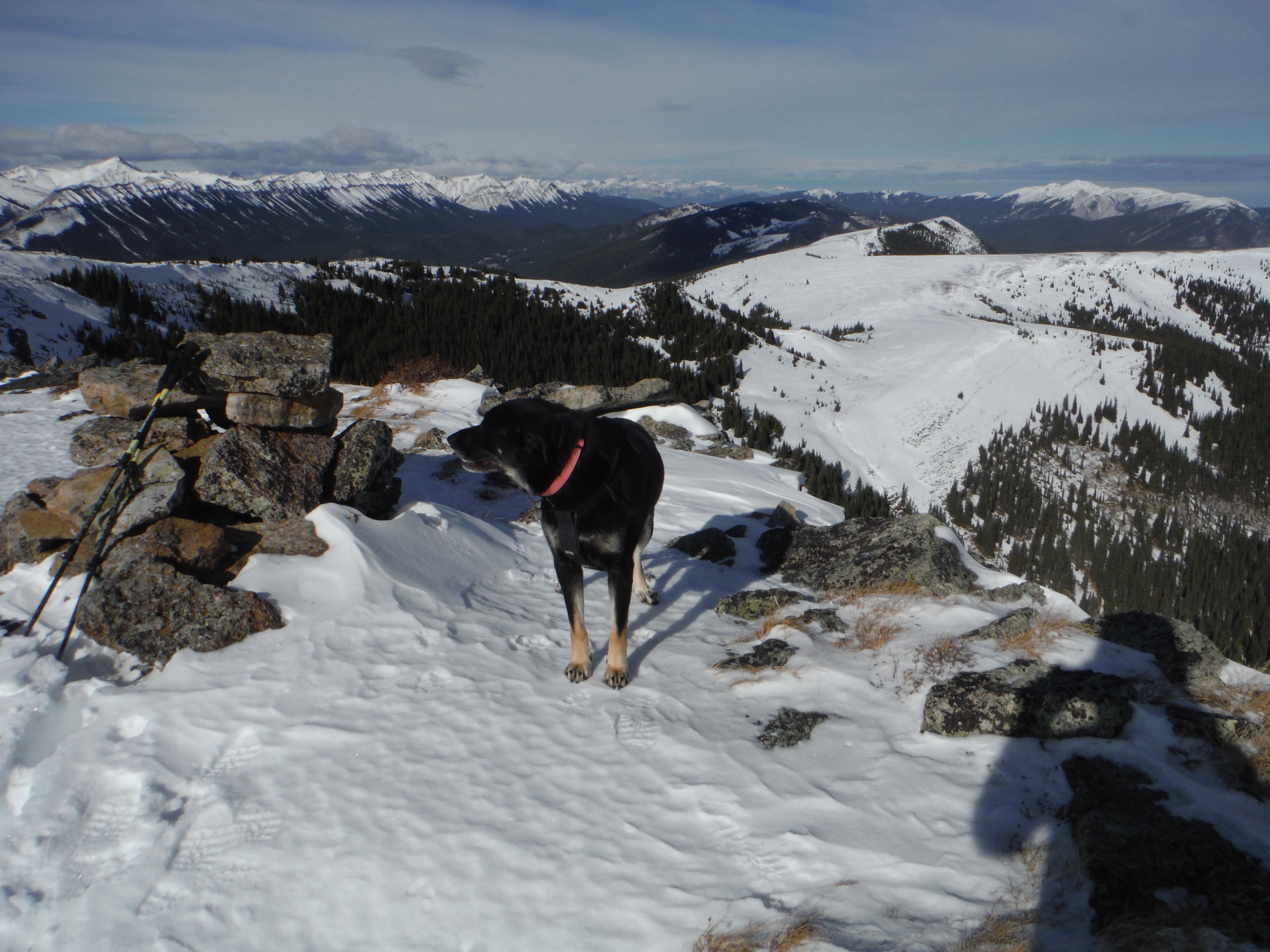 DSCF0715Forgetmenot Ridge November 2018