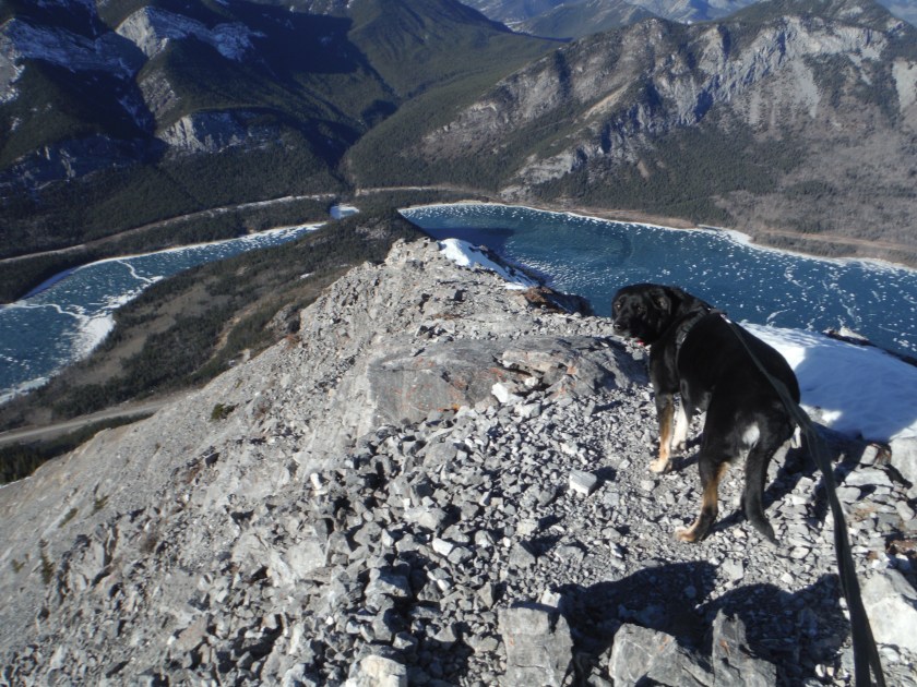 Mt. Baldy Barrier January 2019