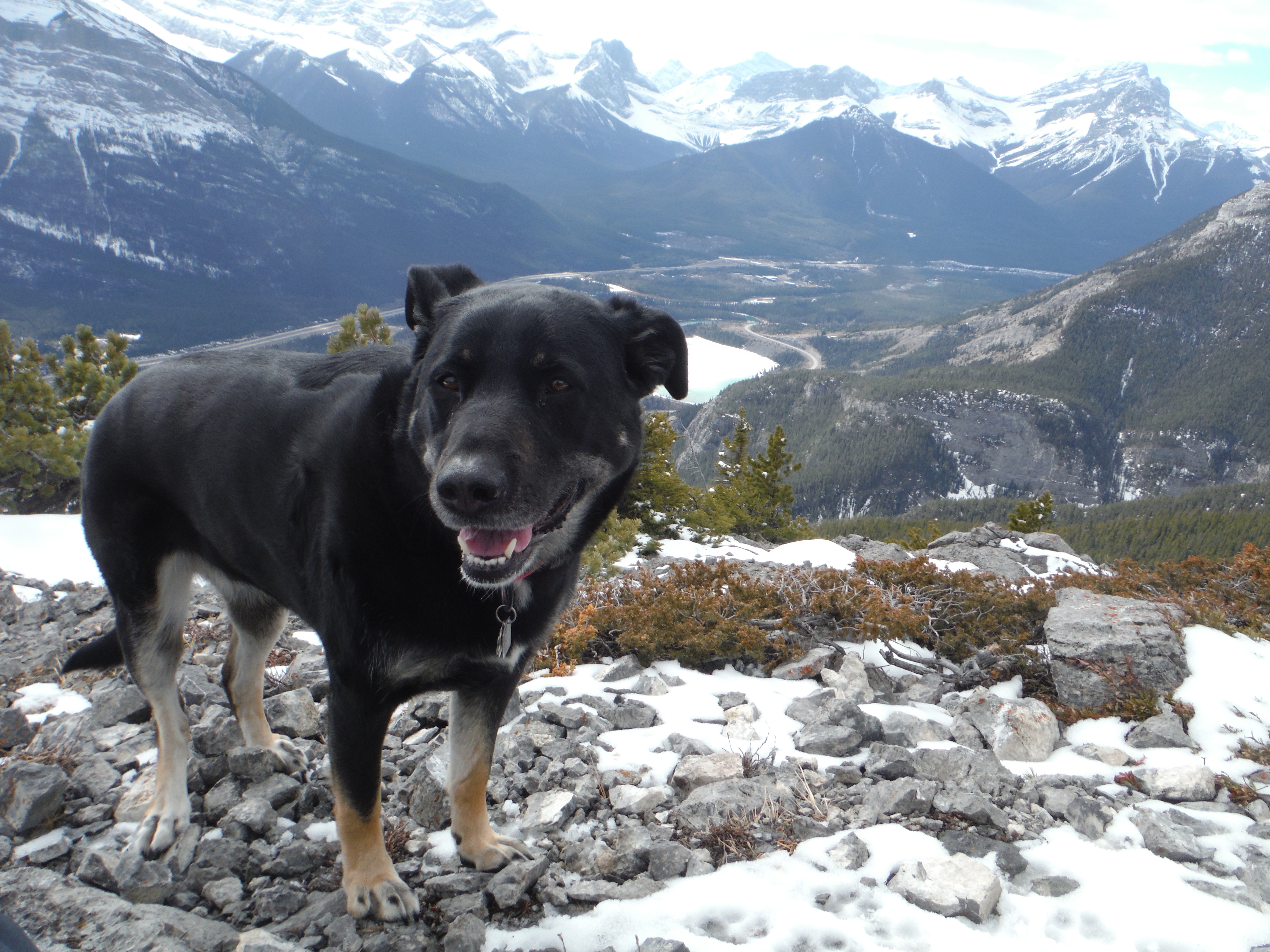 Kona Anklebiter Gap Lake March 2019
