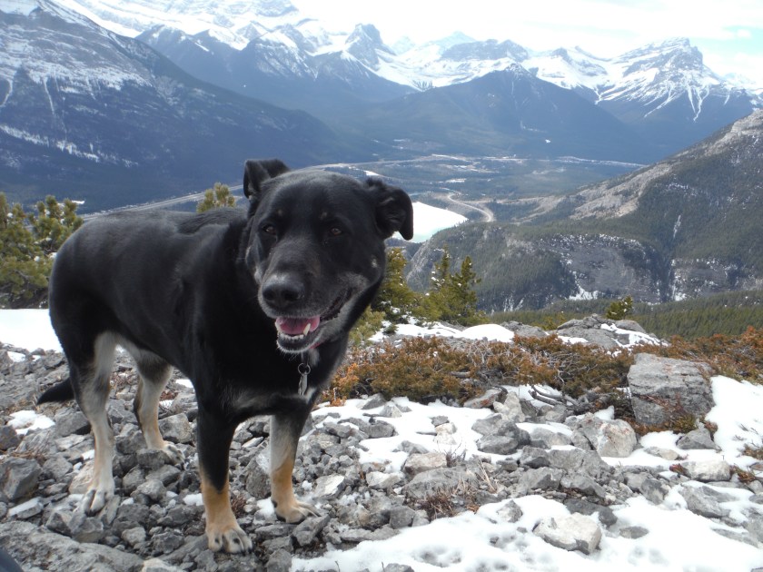 Kona Anklebiter Gap Lake March 2019