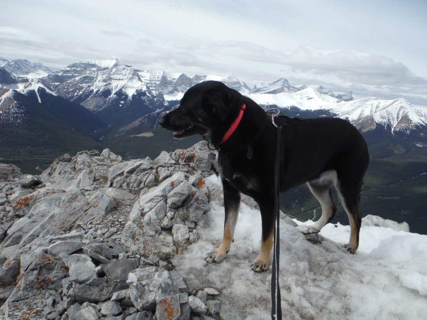 Kona Wasootch April 2019