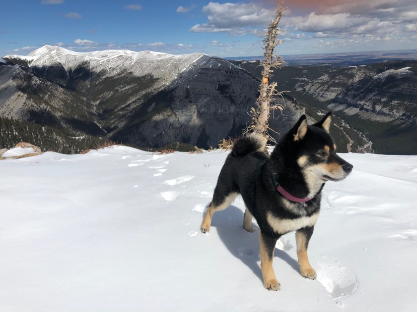 Murtaugh on Prairie April 16 2019 2