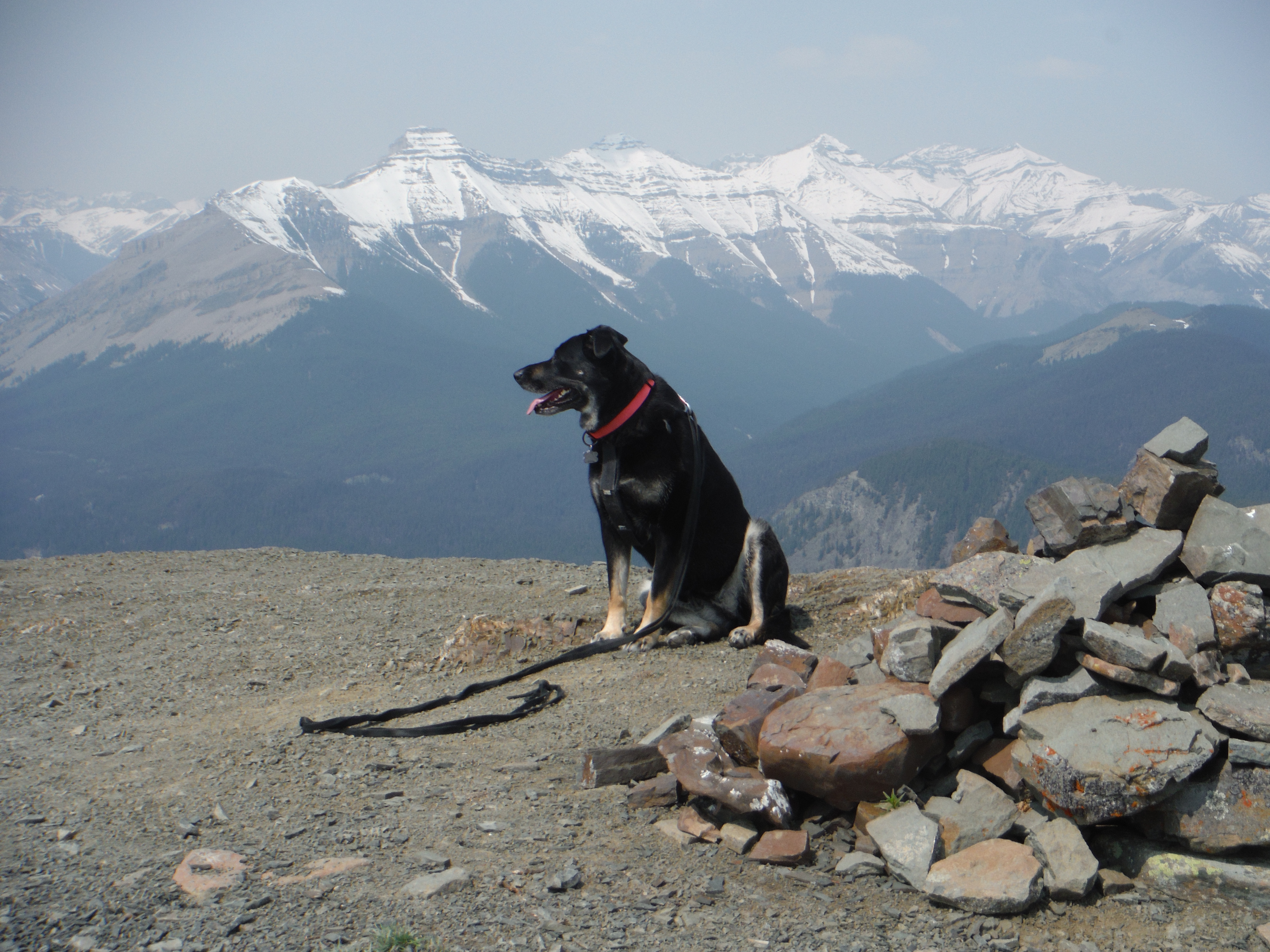 Kona Hoffman Burns May 2019