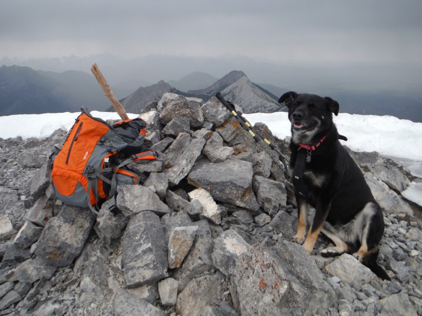 Kona Midnight Peak May 2019