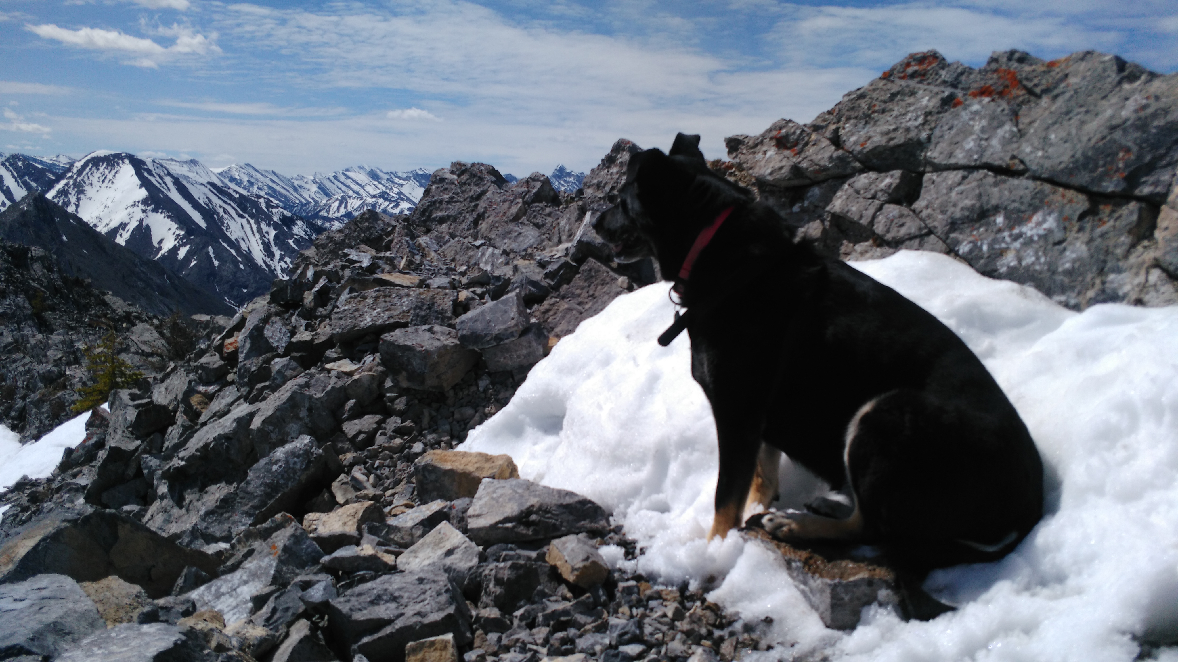 Kona Mt Baldy Midnight May 2020