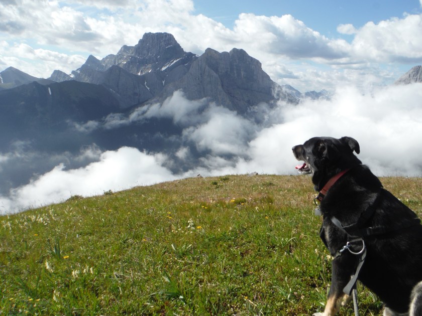 Kona Wind Ridge Tower July 2020