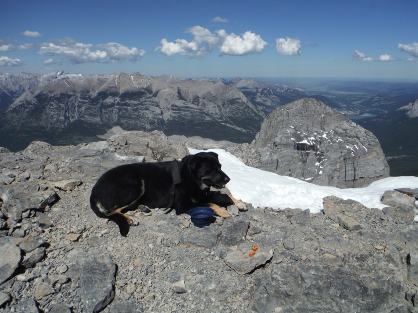 Kona Grotto Mtn Middle Sister