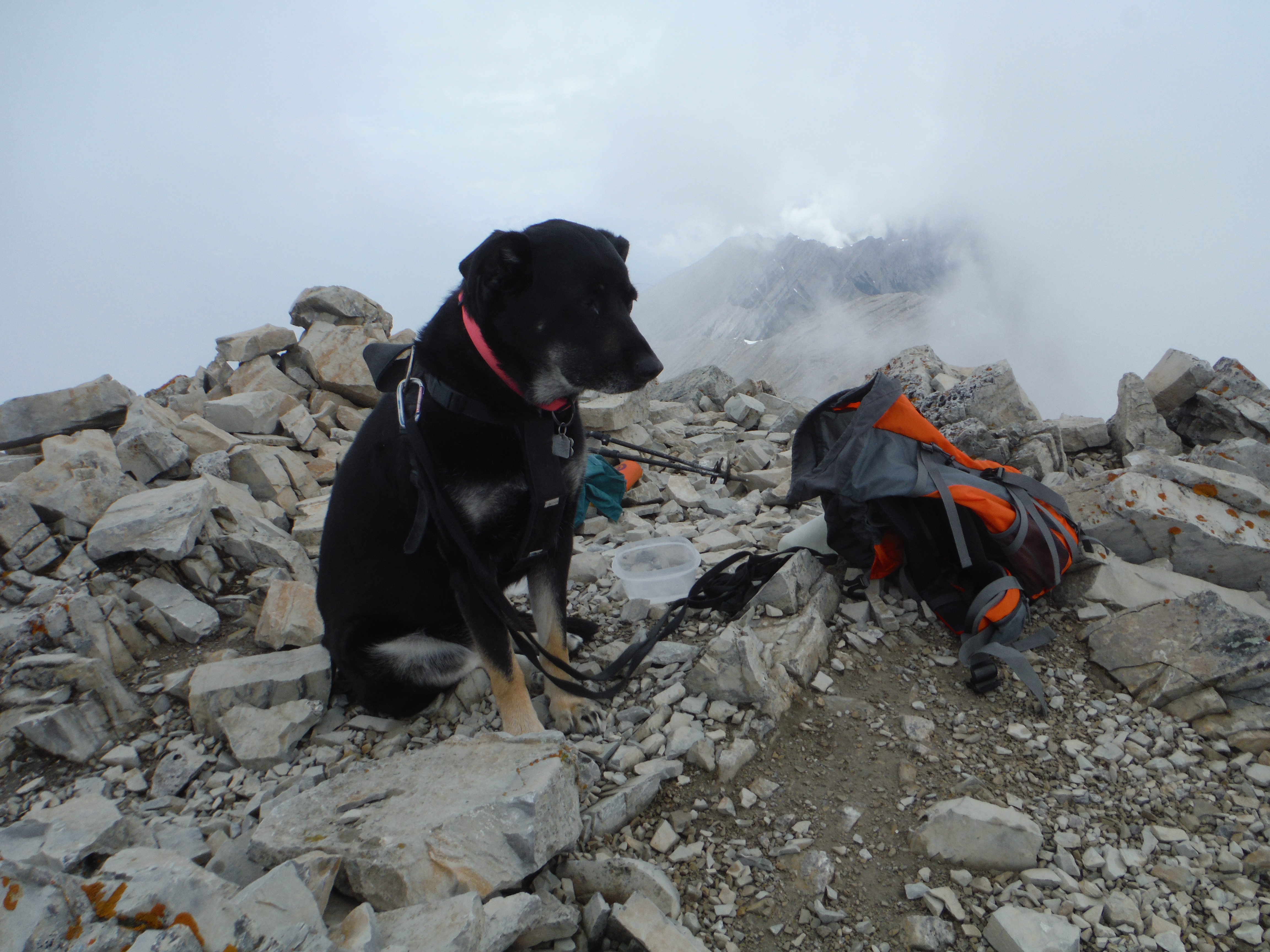 Kona Grotto Jun 2019