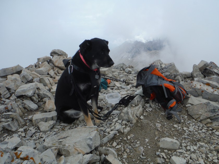 Kona Grotto Jun 2019