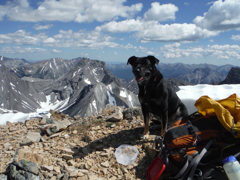 Kona The Fortress Mt Chester