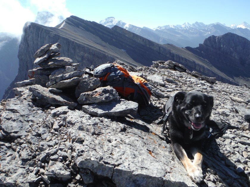 Kona The Orphan Rimwall Summit