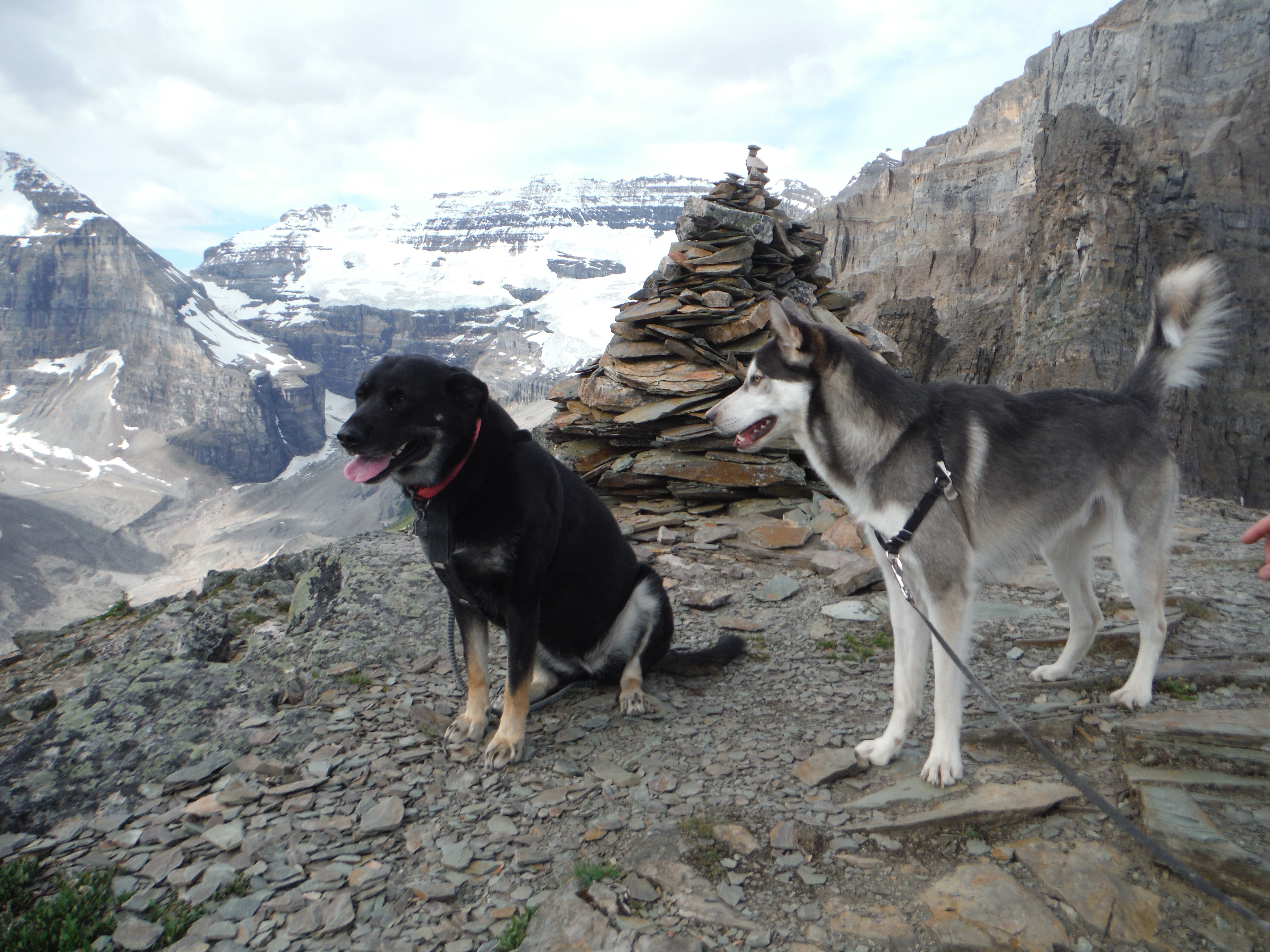 Kona Doobey Devil's Thumb