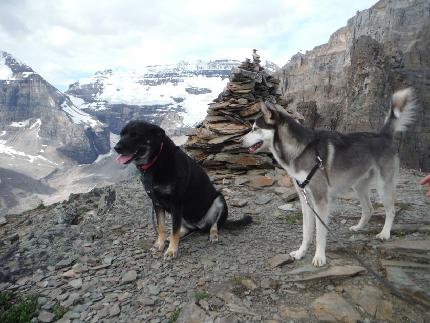 Kona Doobey Devil's Thumb