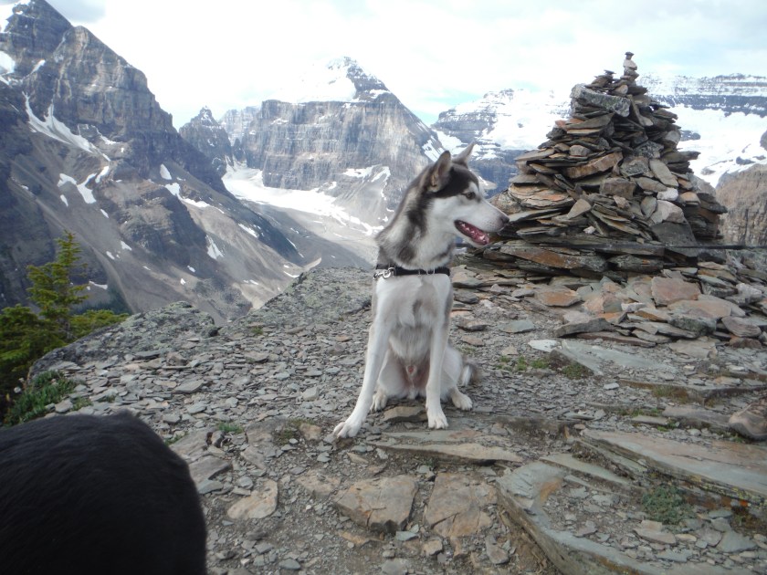 Doobie Devil's Thumb