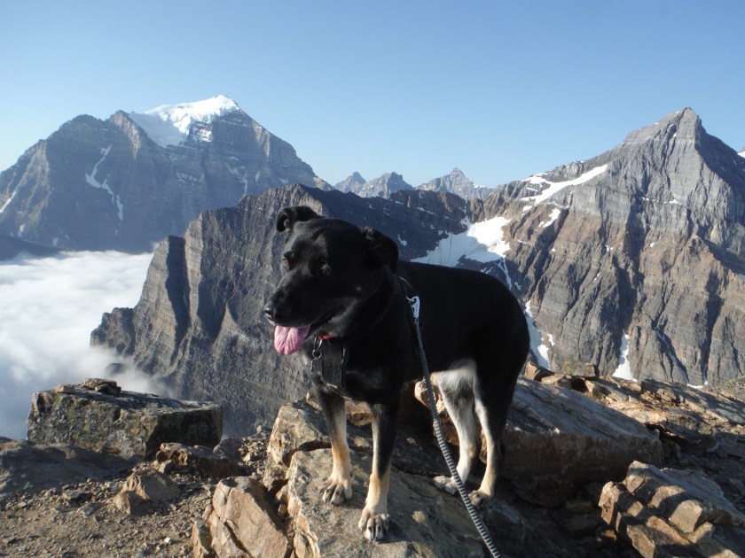 Kona Fairview Mtn. Mt. Temple