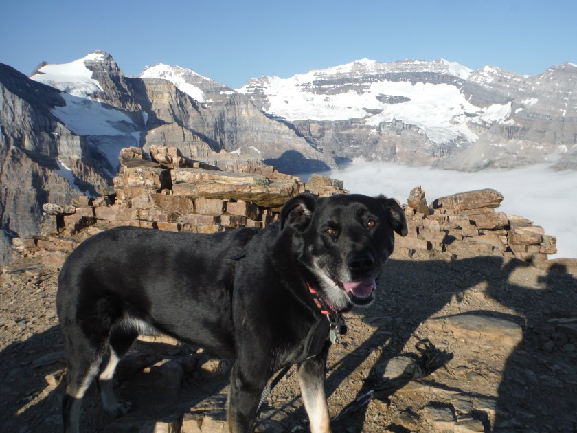 Kona Fairview Mtn. Mt. Victoria