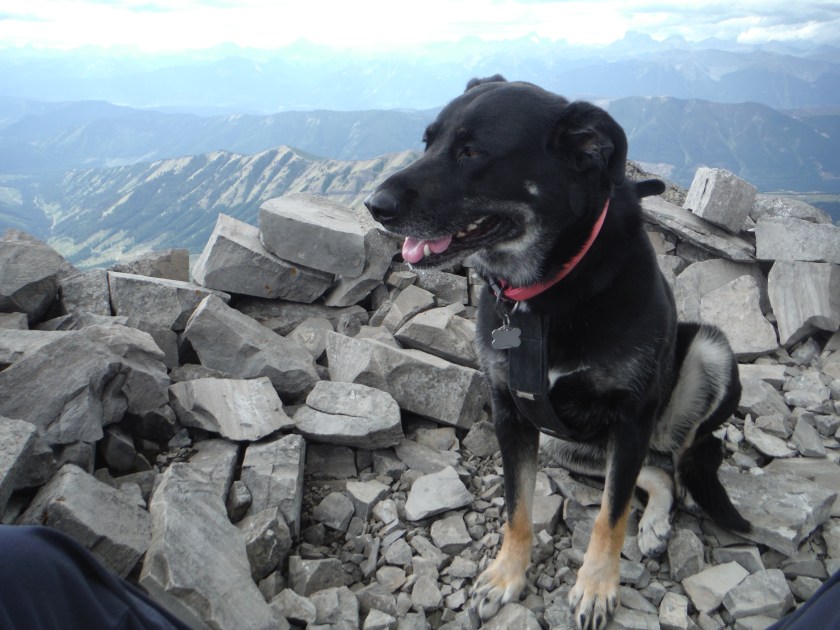 Kona Mt. Gass Fording River