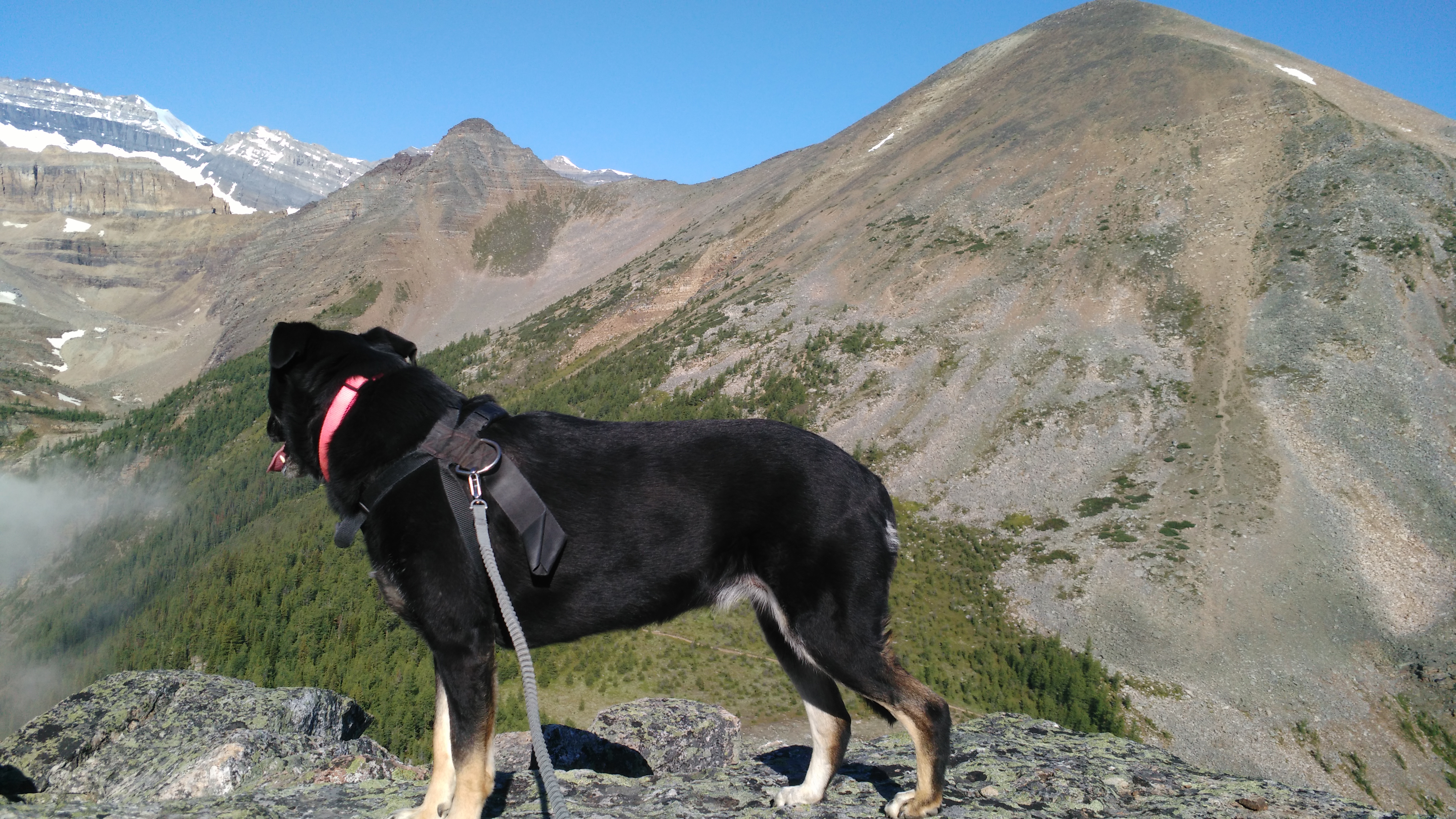 Kona Saddle Mtn. Fairview Mtn.