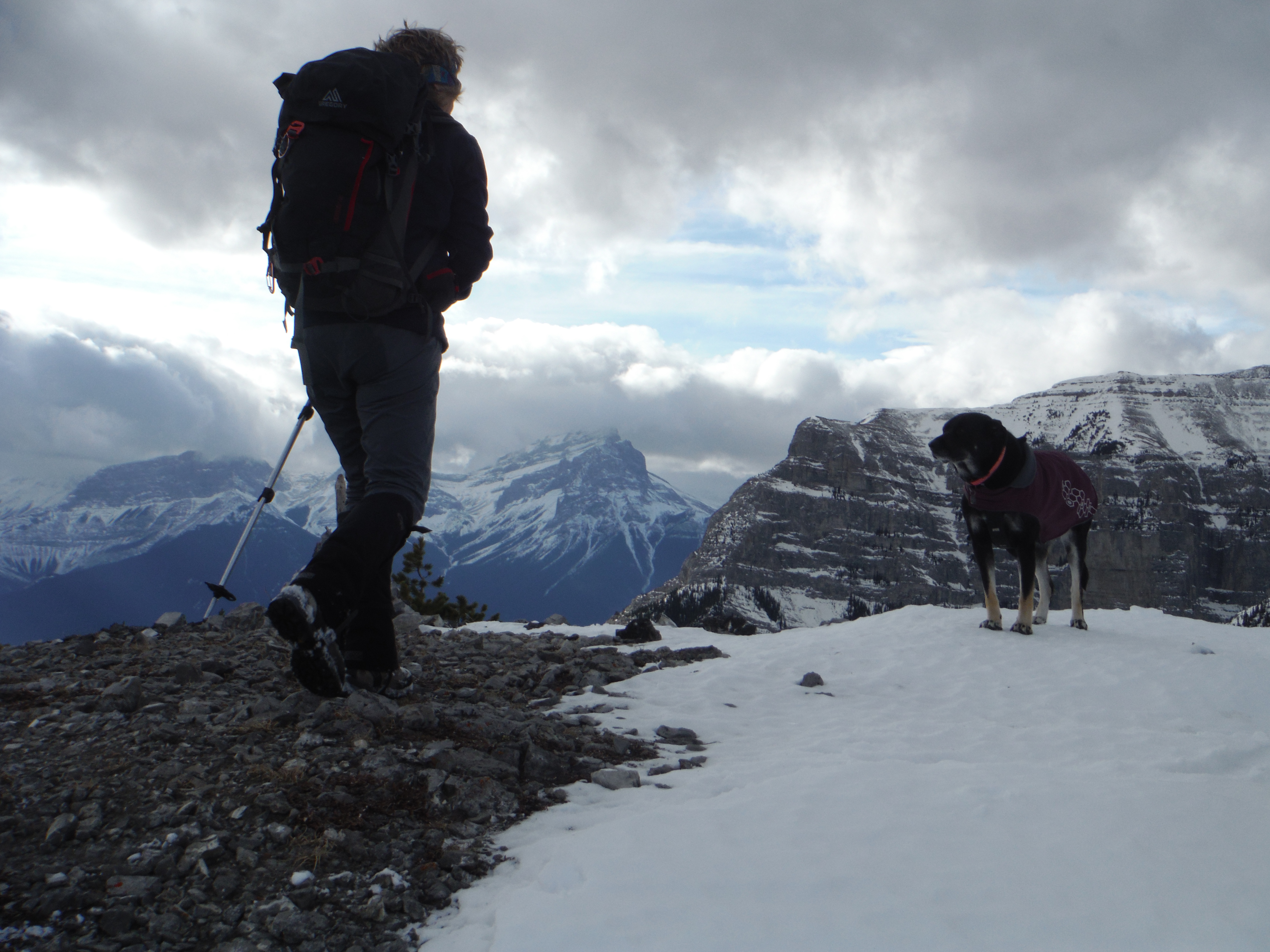 Kona Anklebiter Ridge
