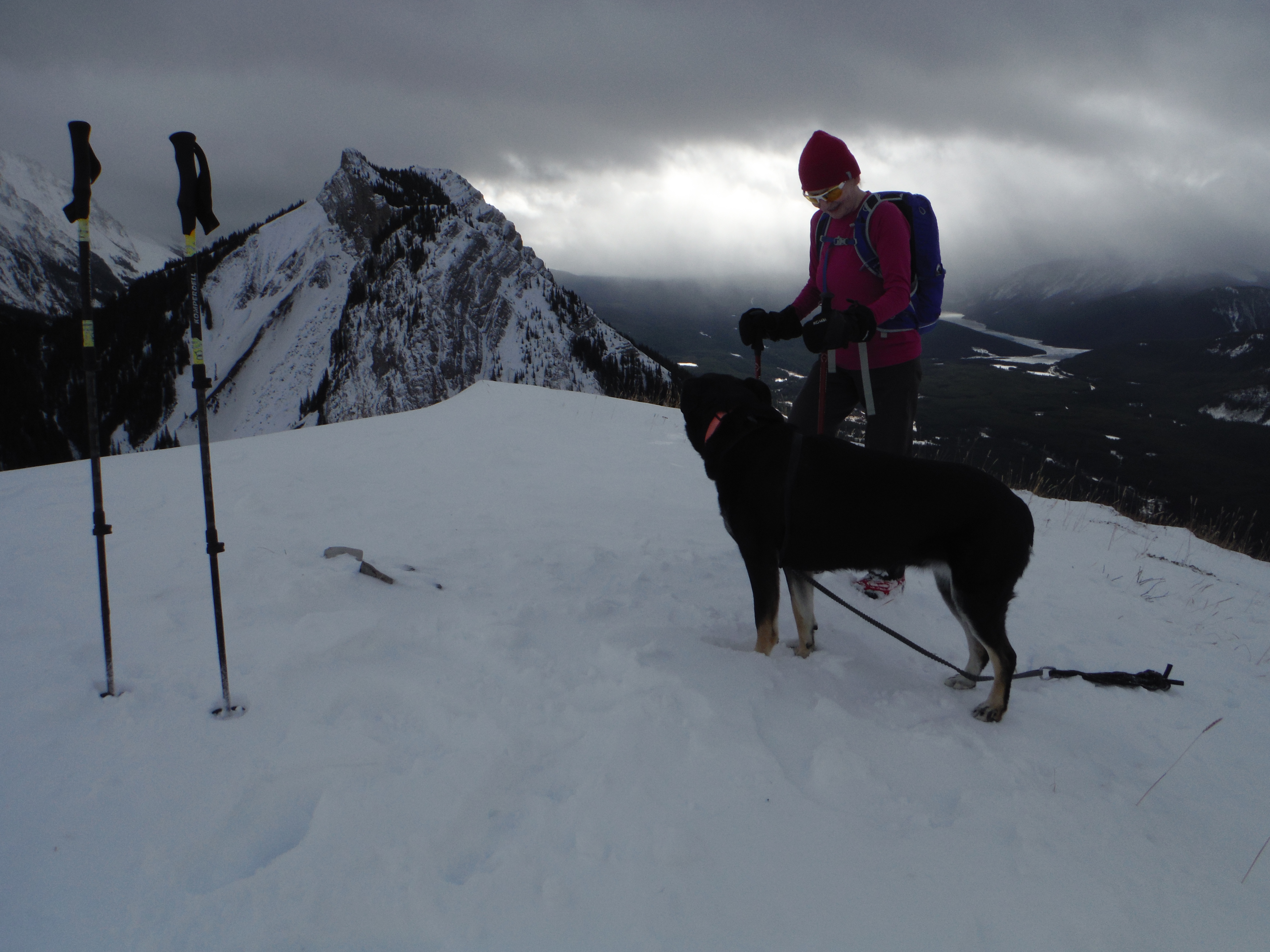 Kona Packenham Jr. Peak