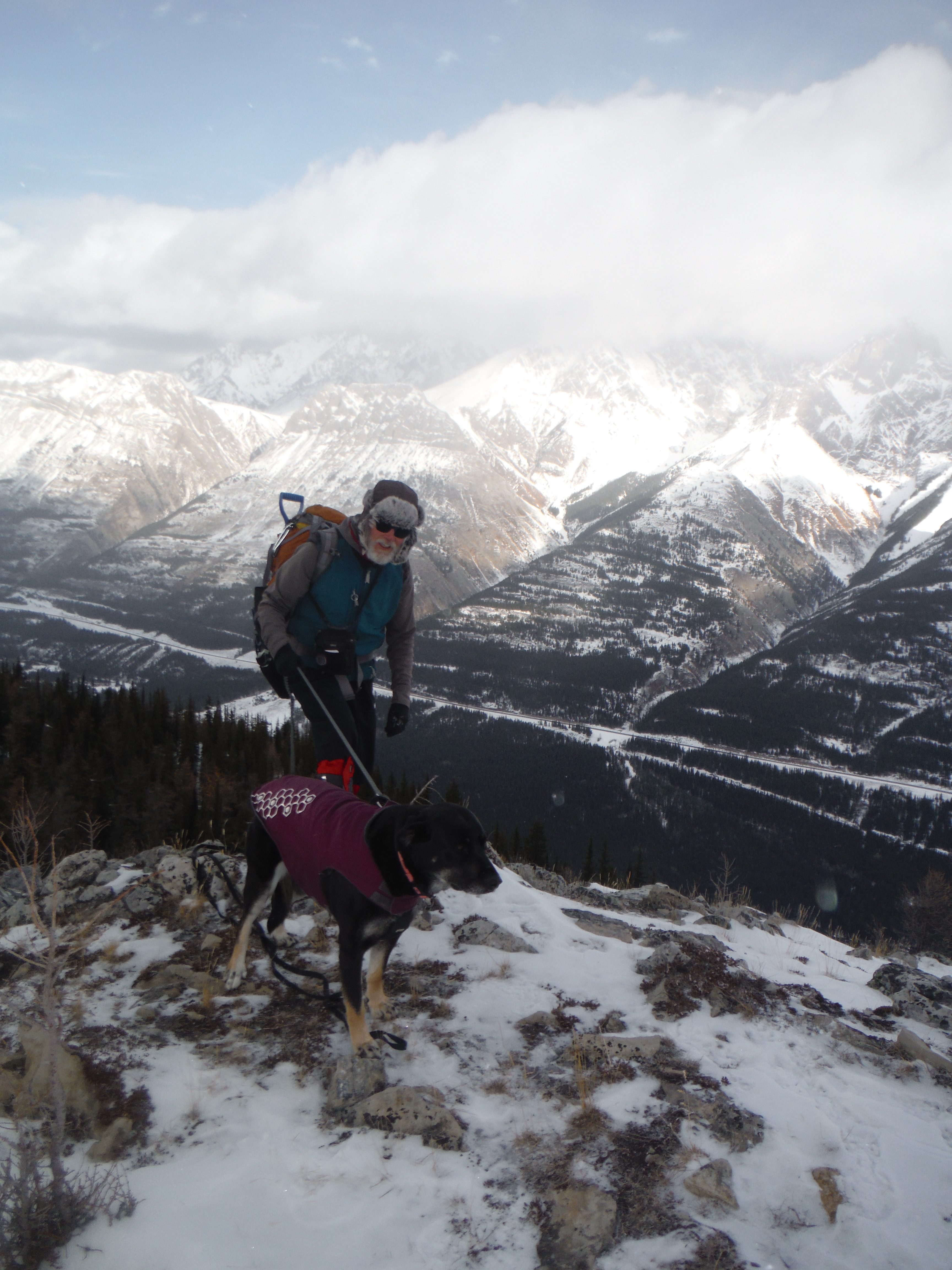 Kona Lawson South Grizzly