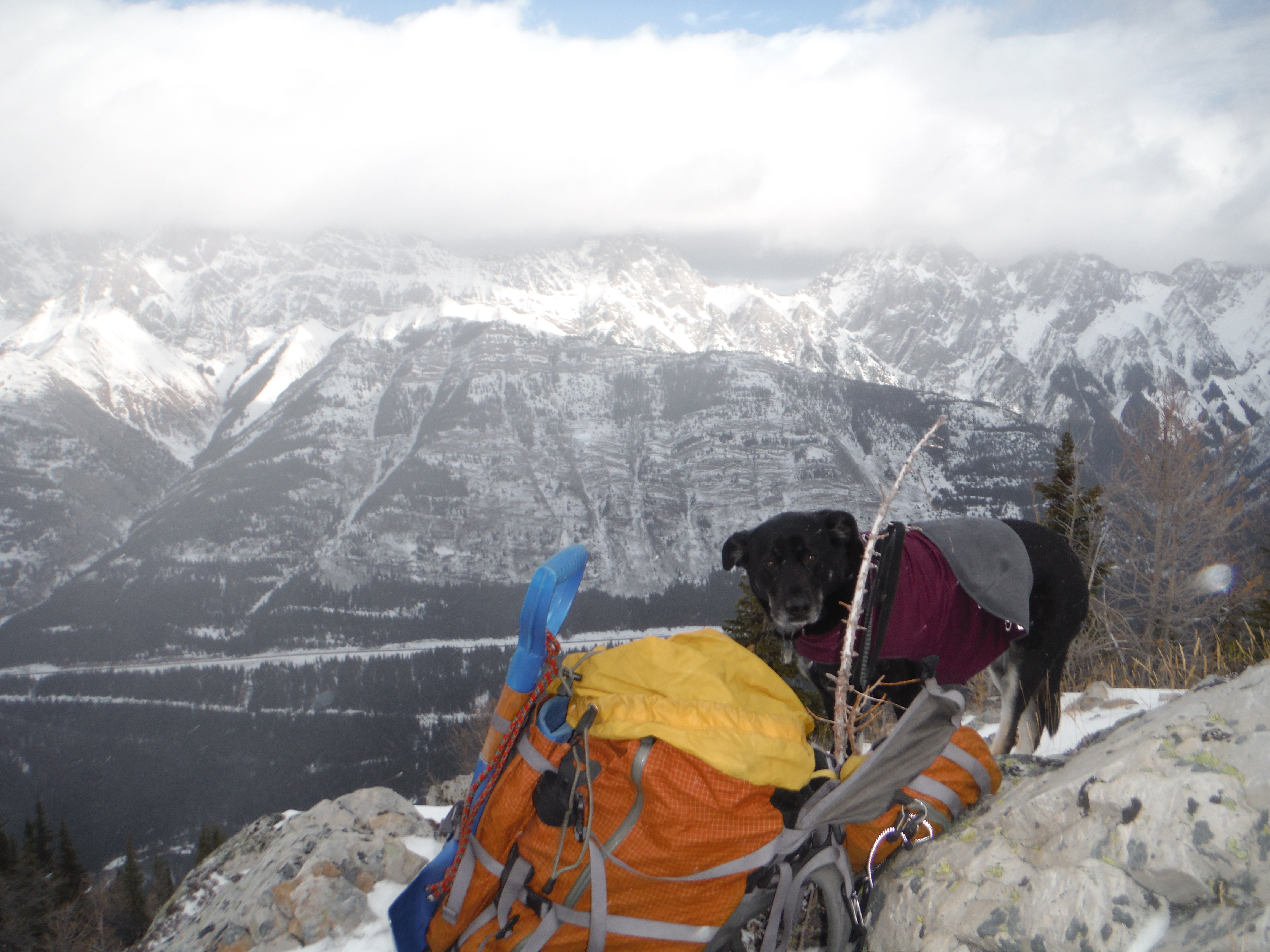 Kona King Creek Ridge Lawson South