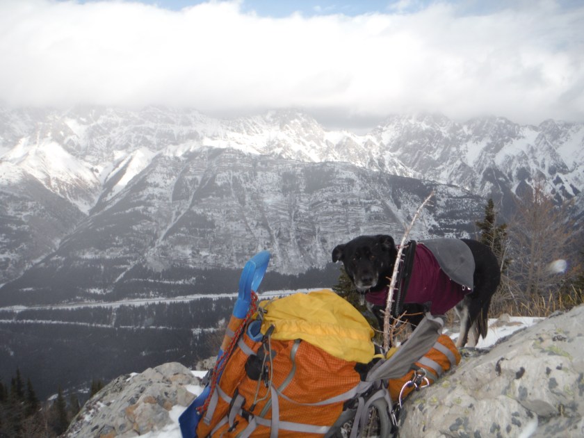 Kona King Creek Ridge Lawson South