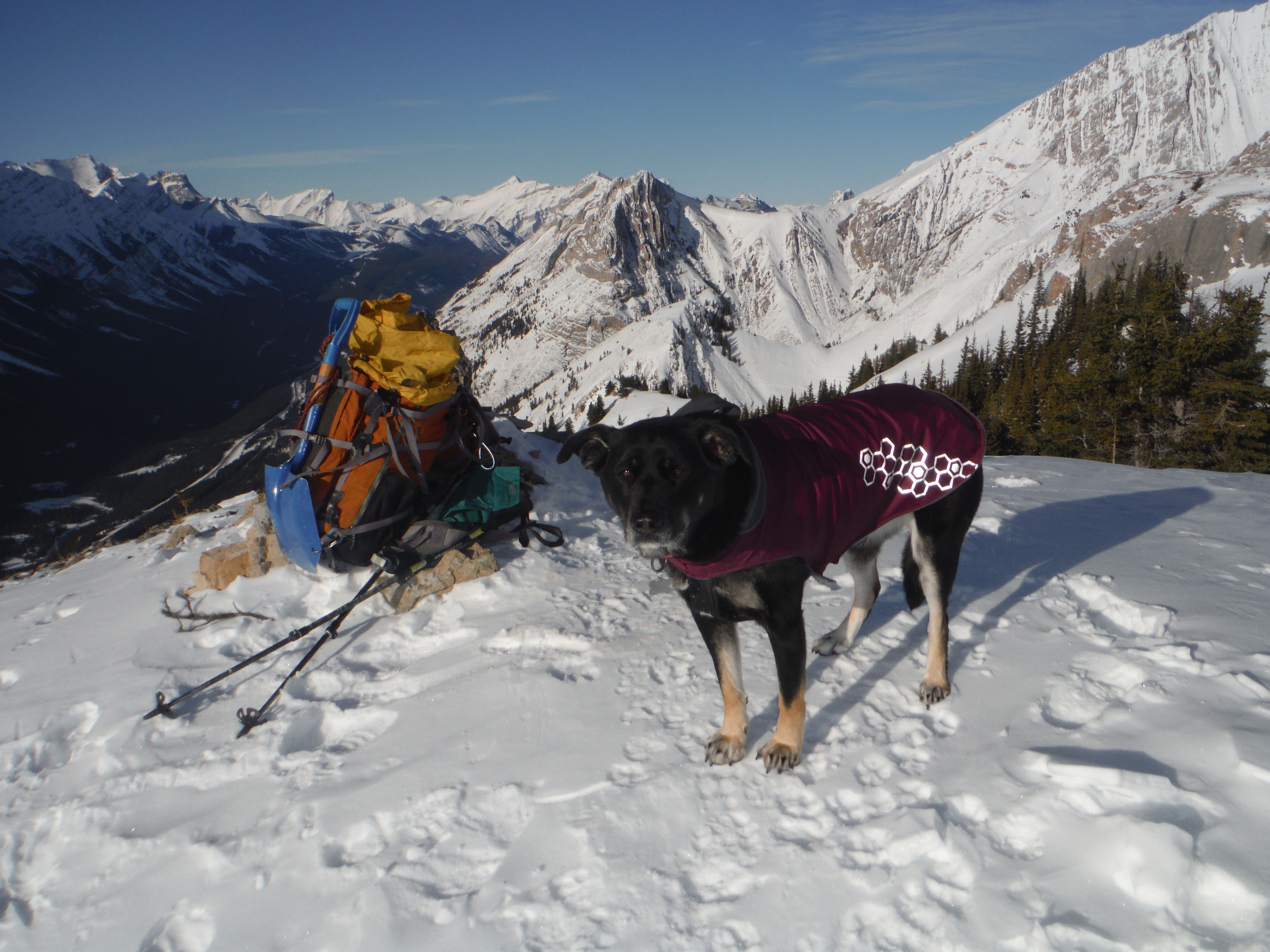 Kona King Creek Ridge Grizzly Peak Packenham Junior Peak