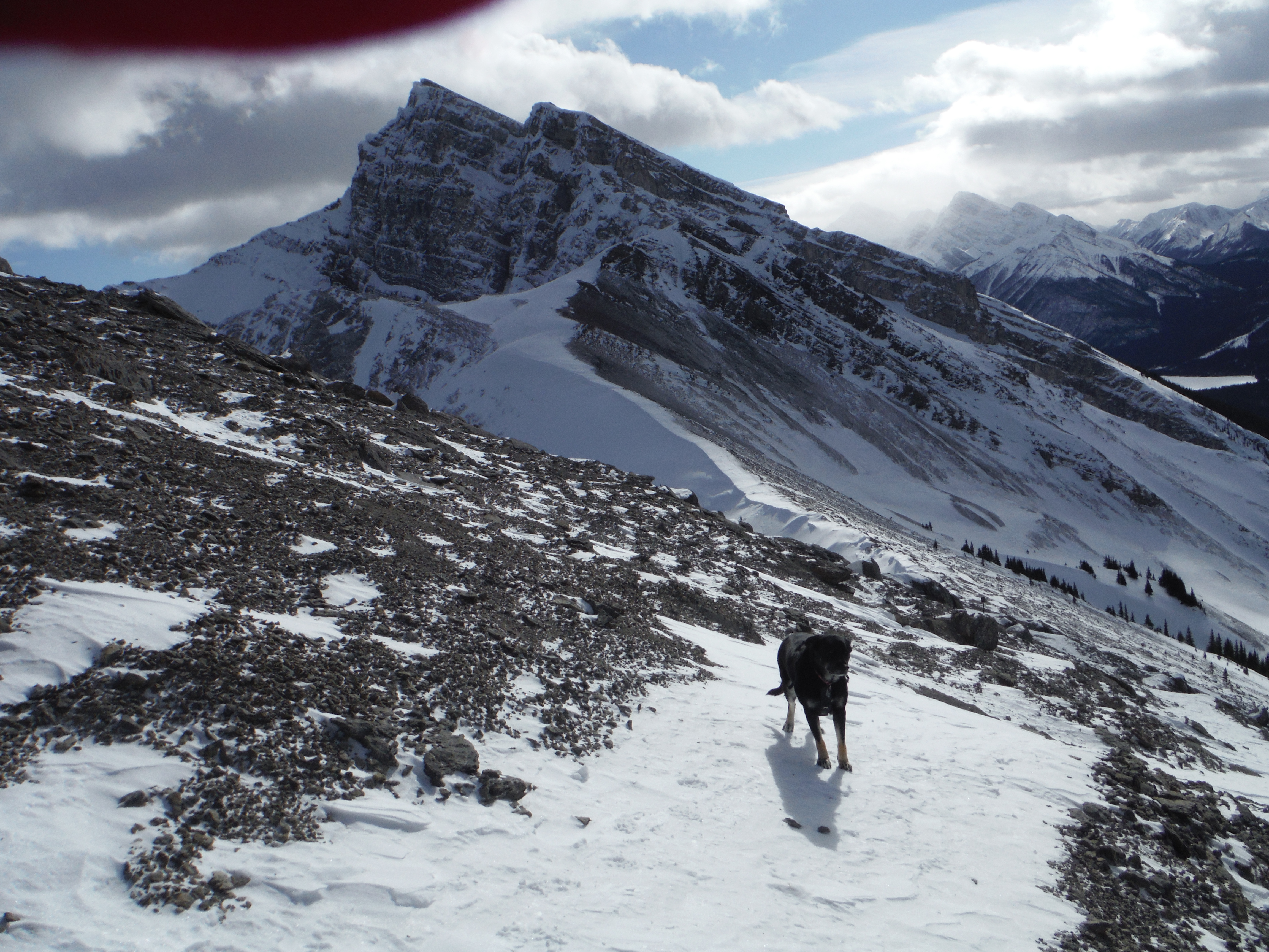 Kona Ha Ling Miner's Peak Lawrence Grassi