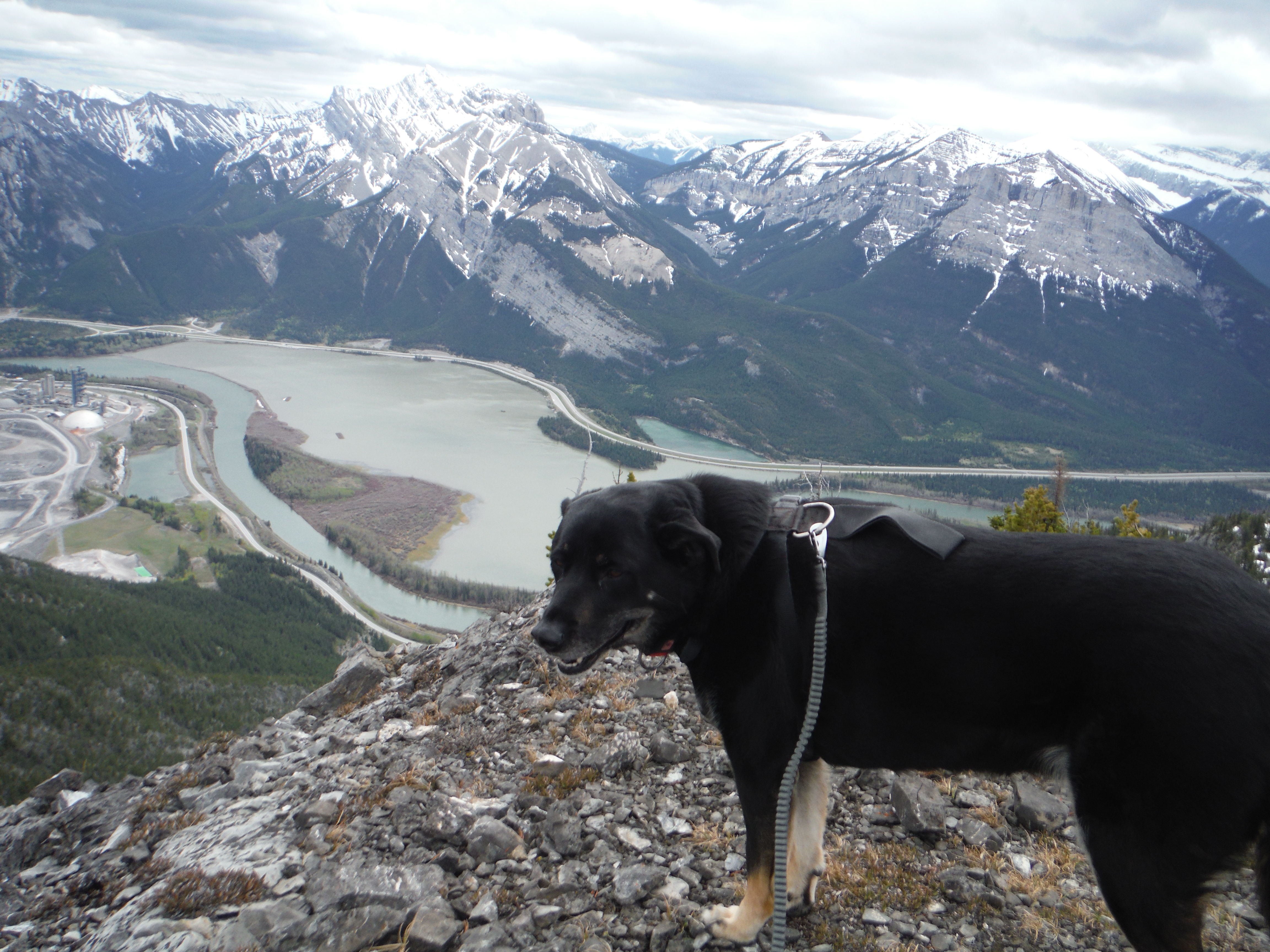 Kona Anklebiter Ridge