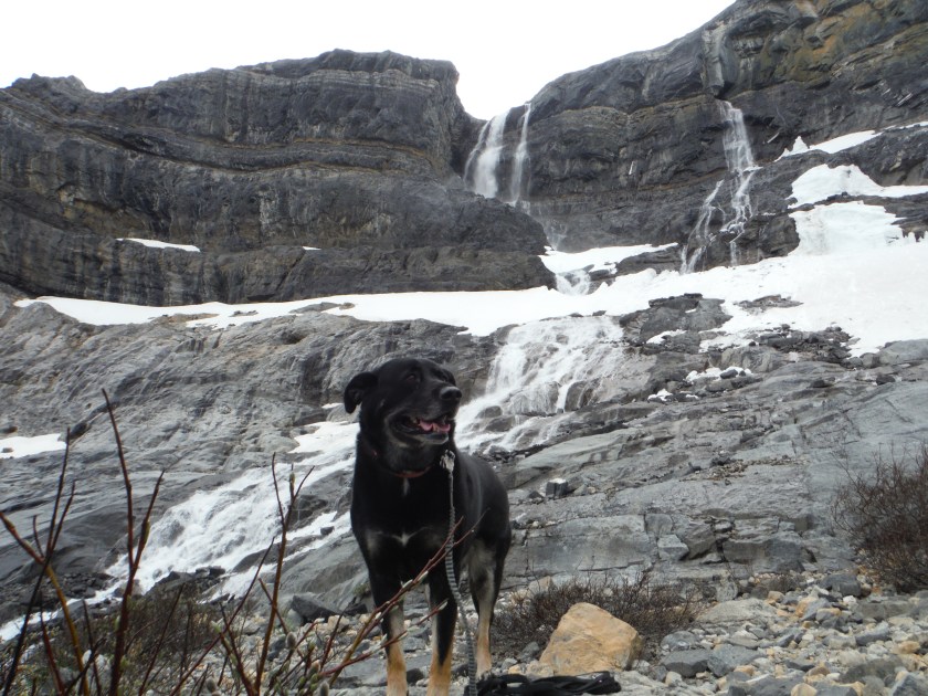 Kona Bow Glacier Falls