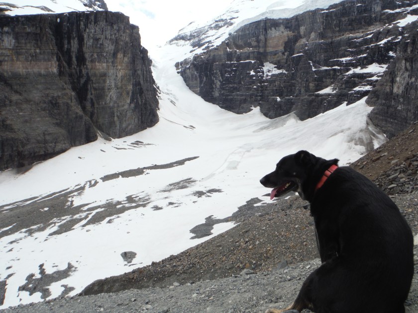 Kona Plain of the Six Glaciers Abbott Pass Mt. Lefroy The Death Trap
